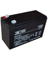 BDS BATTERY AGM 12V 7AH T1