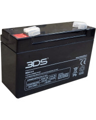 BDS BATTERY AGM 4V 3.4AH T1