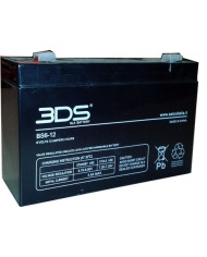 BDS BATTERY AGM 6V 12AH T2