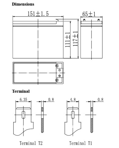 BDS BATTERY AGM LONG LIFE 12V 10AH T2