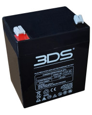 BDS BATTERY AGM 12V 6AH T1
