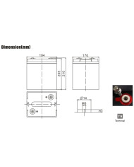 BDS BATTERY AGM DEEP CYCLE LONG LIFE 6V 100AH T9