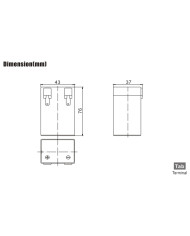 BDS BATTERY AGM 6V 2AH TAB