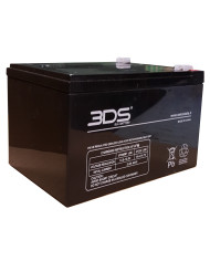 BDS BATTERY AGM DEEP CYCLE 12V 10AH T2