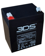 BDS BATTERY AGM DEEP CYCLE 12V 4AH T1