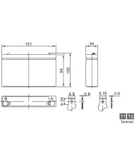 BDS BATTERY AGM 6V 9AH T1