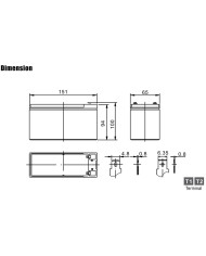 BDS BATTERY HIGH TEMPERATURE AGM 12V 7AH T2