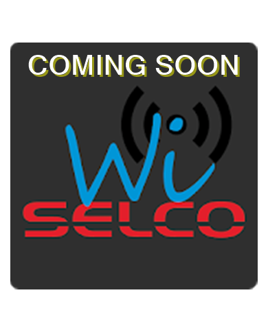 SCHEDA WIFI PER COMANDO REMOTO UTENZE 2 CANALI